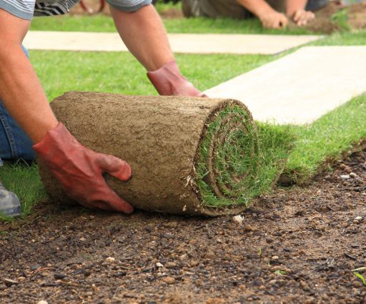 Garten- Planung, Gestaltung & Pflege